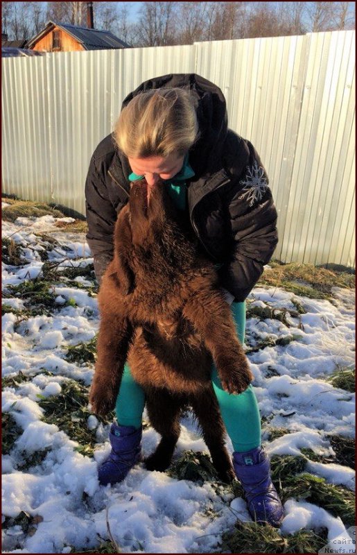 Фотография № 167848