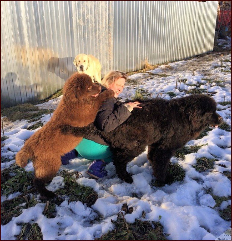 Фотография № 167849