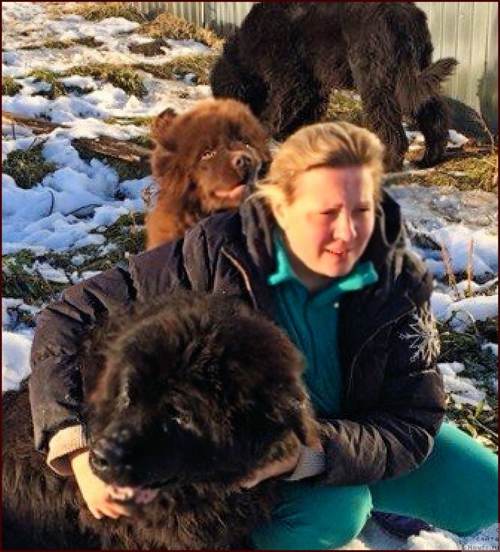 Фотография № 167850