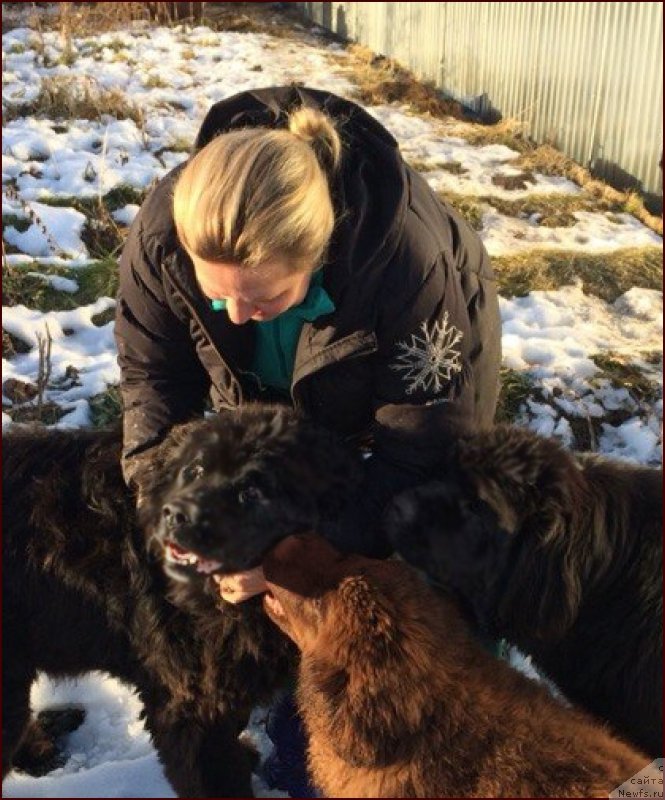 Фотография № 167851