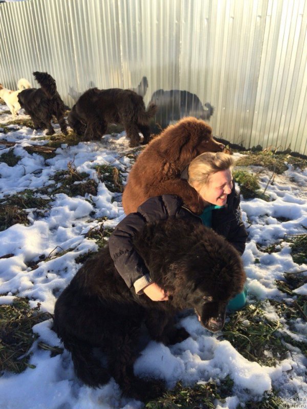 Фотография № 167852