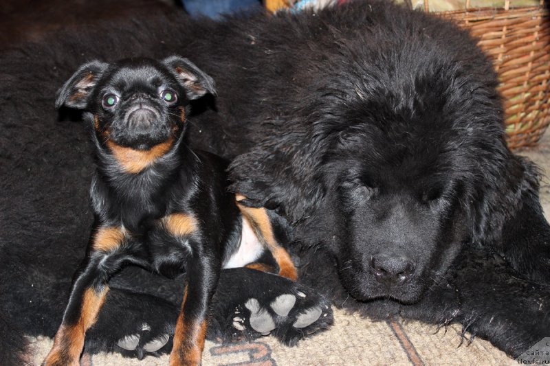 Фотография № 167858