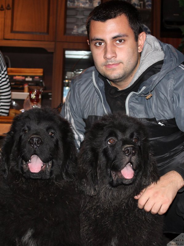 Фотография № 167859