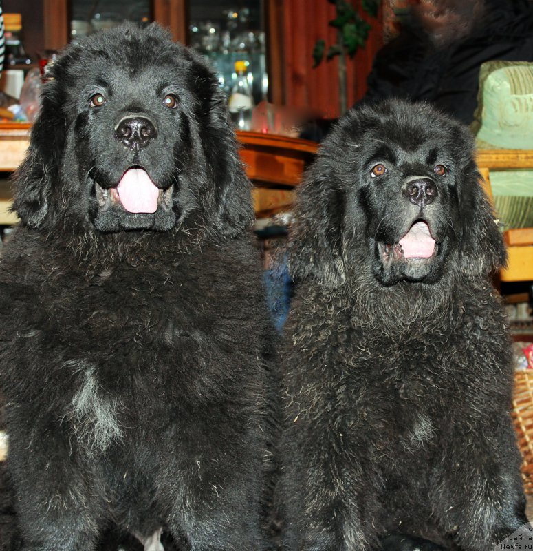 Фотография № 167860