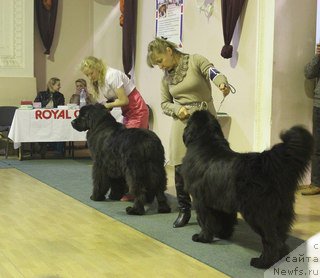 Фотография № 167861