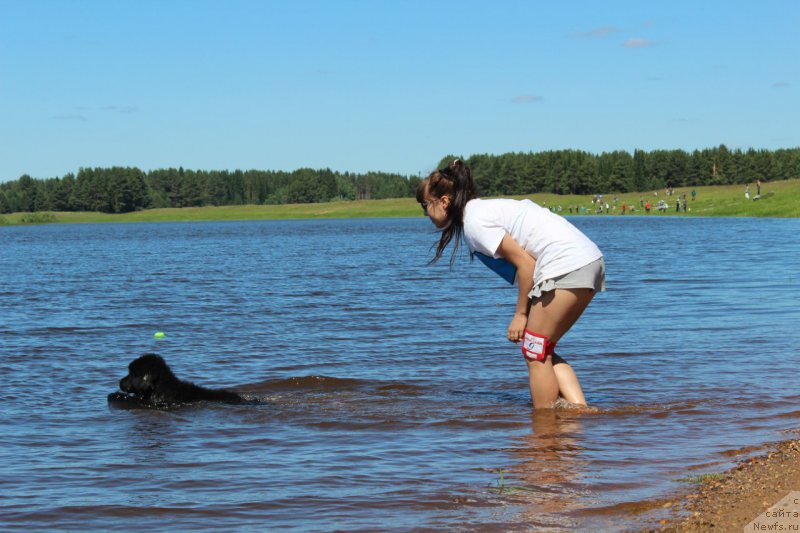 Фото: ньюфаундленд Piternyuf Ideas For Life (Питерньюф Идеас Фор Лифе), Zarina Lubkova (Зарина Лубкова)