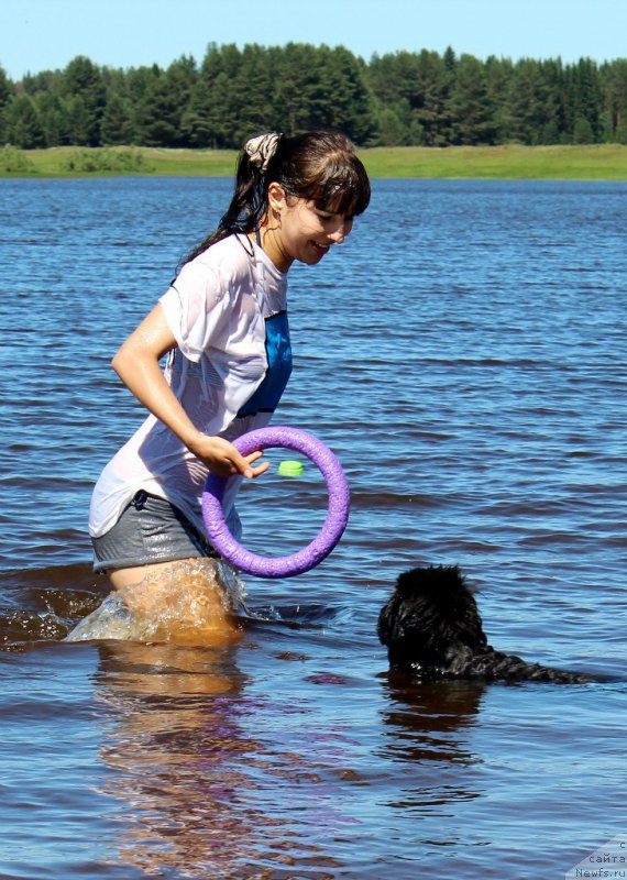Фото: ньюфаундленд Piternyuf Ideas For Life (Питерньюф Идеас Фор Лифе), Zarina Lubkova (Зарина Лубкова)