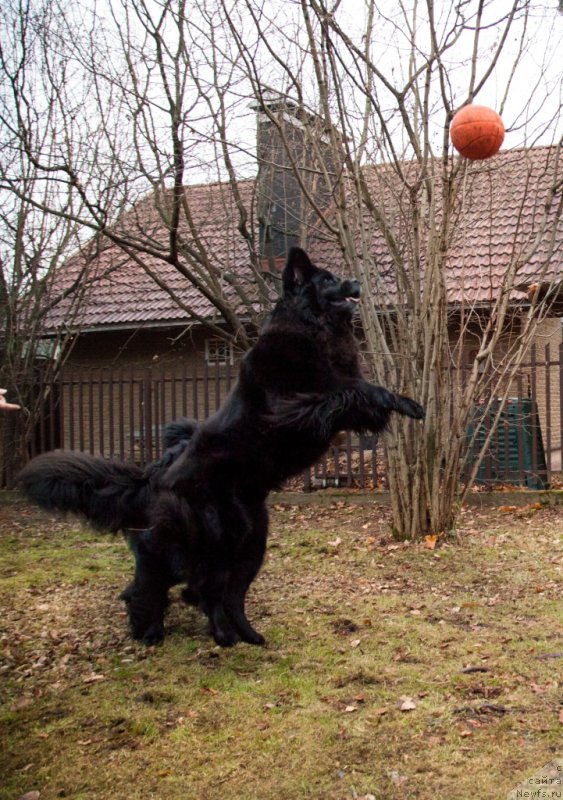 Фотография № 167897