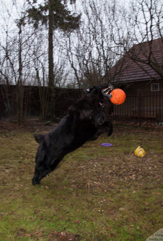 Фотография № 167898