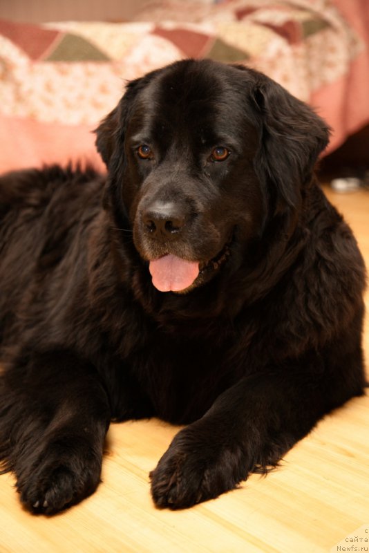 Фотография № 167901