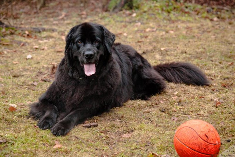 Фотография № 167902