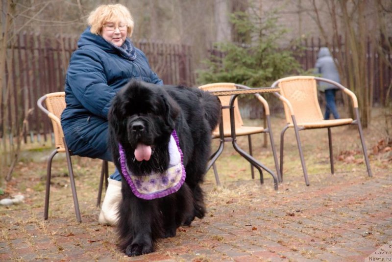 Фотография № 167906