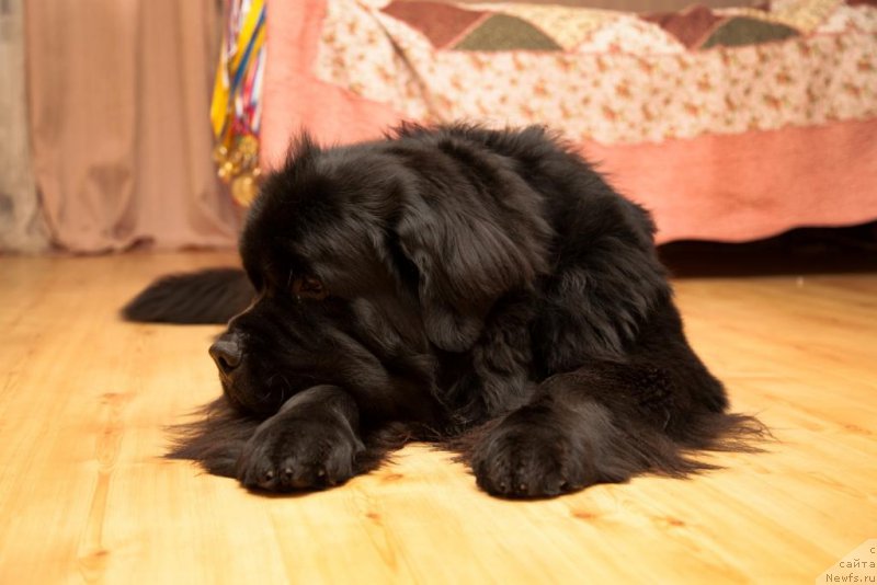 Фотография № 167909