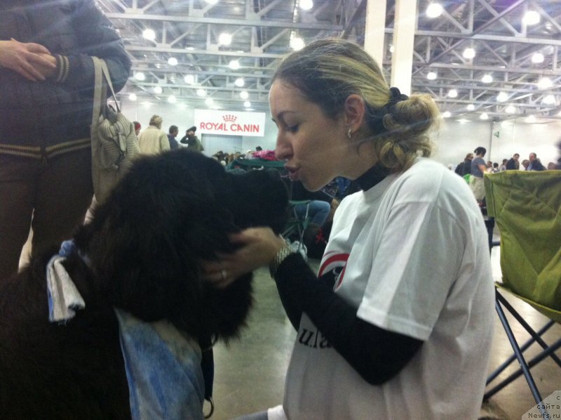 Фото: ньюфаундленд Potap Snezhinka na Schastie (Потап Снежинка на Счастье), Marina Demidova (Марина Демидова)