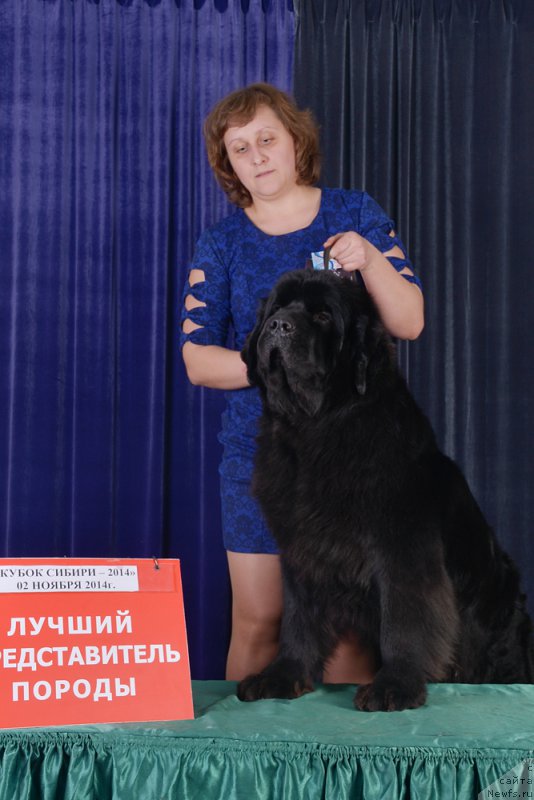 Фотография № 167916