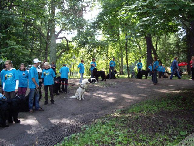 Фотография № 16797