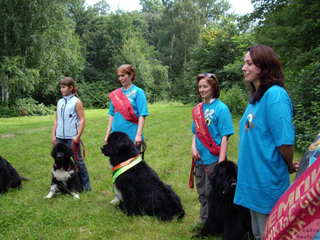 Фотография № 16800