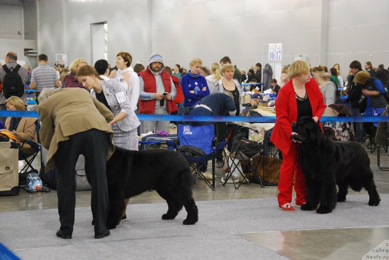 Фотография № 168018