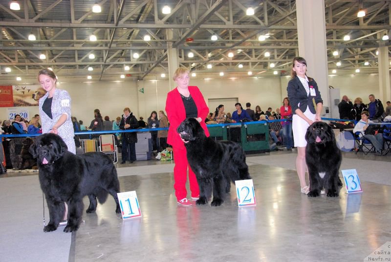 Фотография № 168019