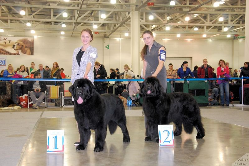 Фотография № 168021