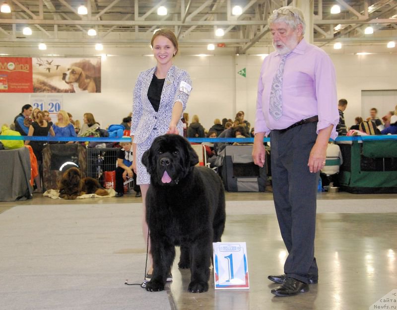 Фотография № 168023