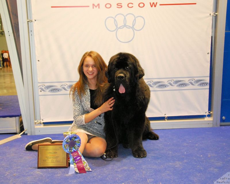 Фотография № 168025