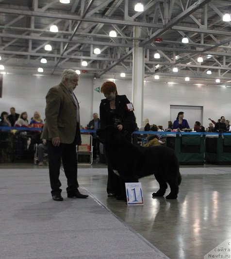 Фотография № 168037