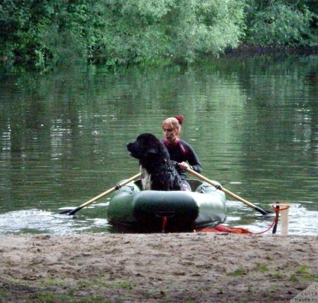 Фотография № 16805