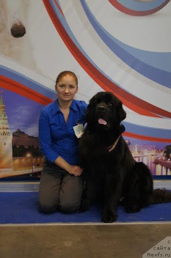 Фотография № 168065