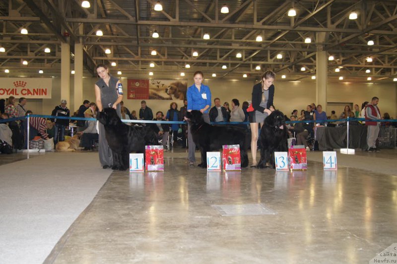 Фотография № 168066