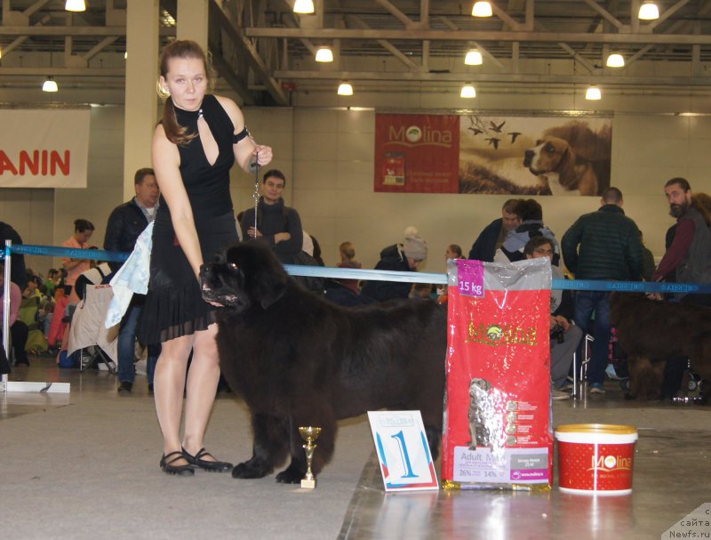 Фотография № 168077