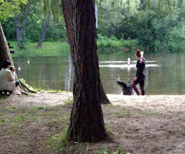 Фотография № 16808