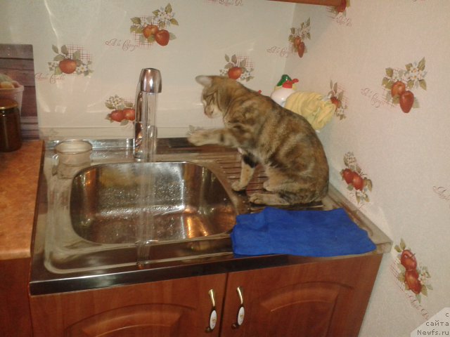 Фото: утренний моцион