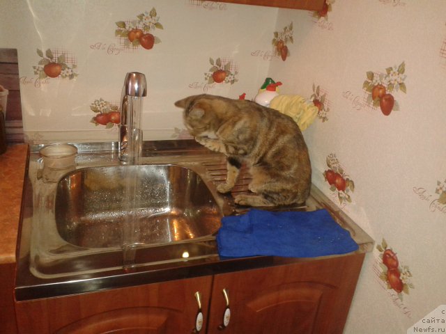 Фото: умываемся