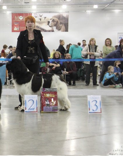 Фотография № 168090