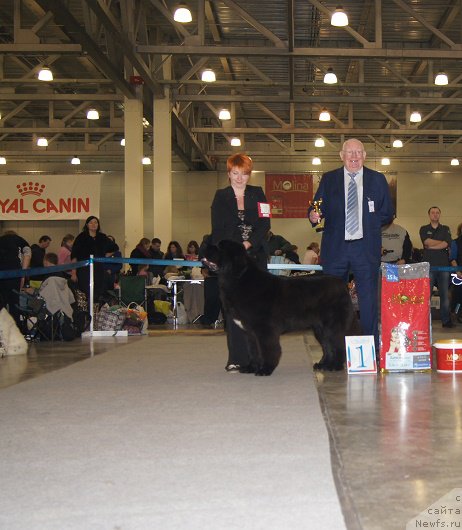 Фотография № 168092