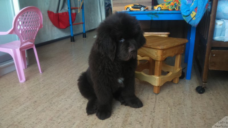 Фото: Черный Шарм Дензел Вашингтон