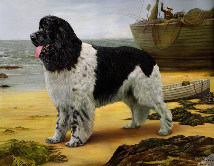 Фотография № 168120