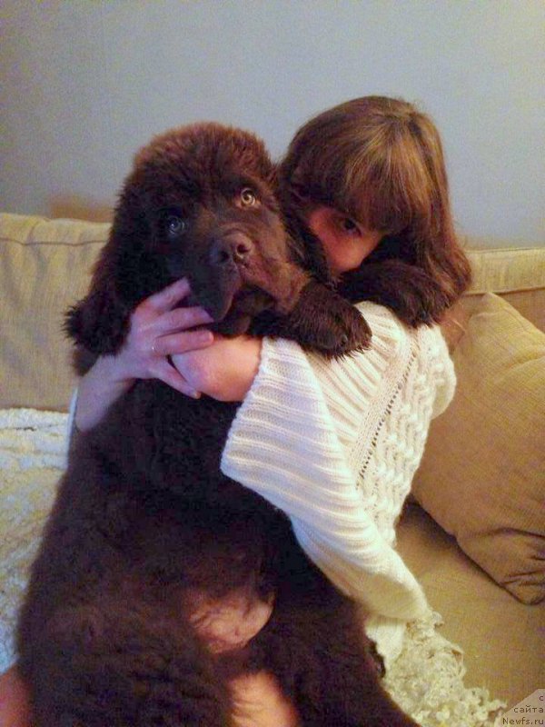 Фотография № 168130