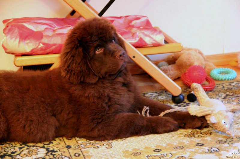 Фотография № 168131