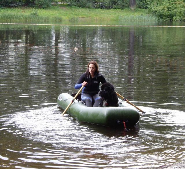 Фото: Kseniya Semikova (Ксения Семикова), ньюфаундленд Bella Smigar