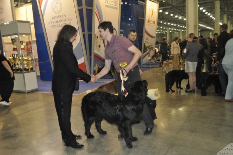 Фотография № 168153