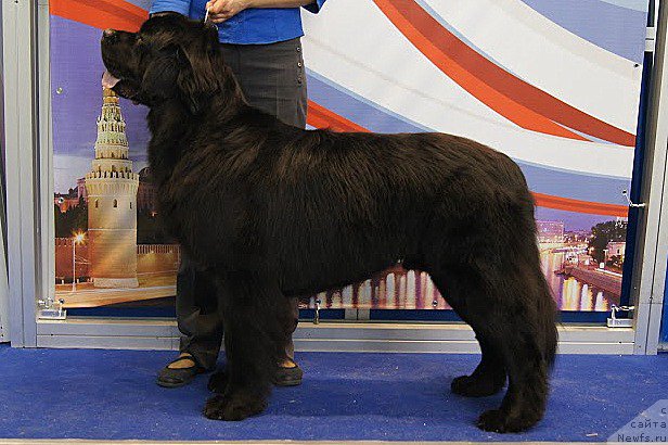 Фотография № 168154