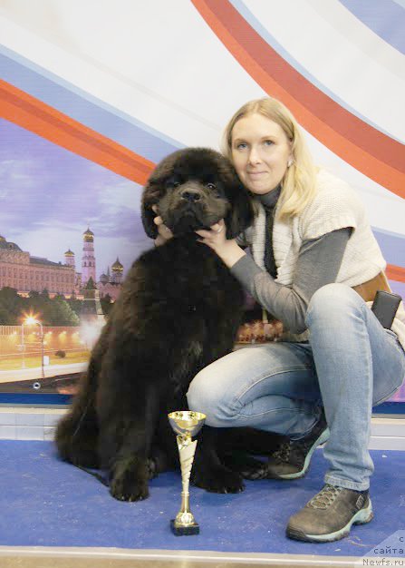 Фото: Бегущая по волнам Чичаритто