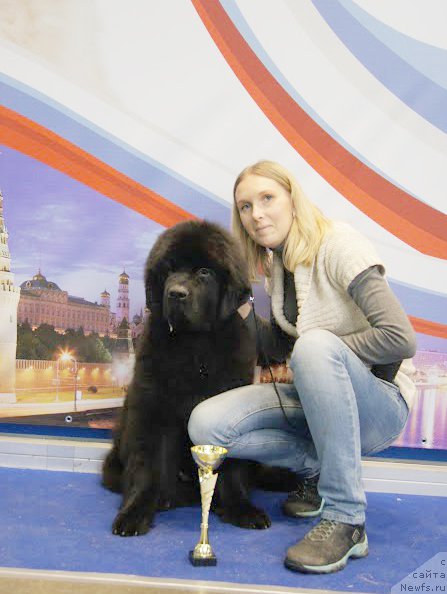 Фото: Бегущая по волнам Чичаритто