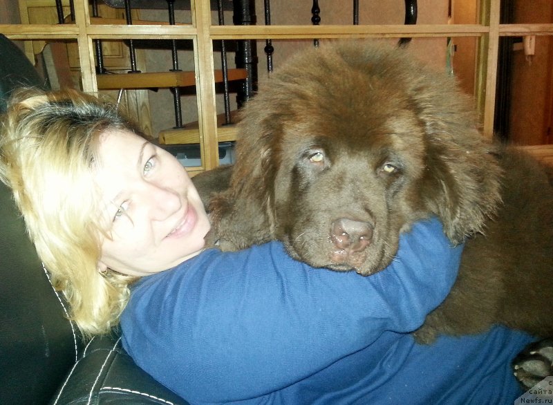 Фотография № 168180