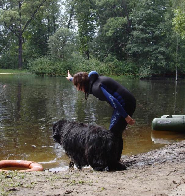 Фотография № 16820