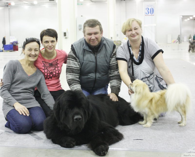 Фото: Ol'ga Koroleva (Ольга Королева), Vera Doroshkevich (Вера Дорошкевич), ньюфаундленд Beguschaya po Volnam Shaman (Бегущая по Волнам Шаман)