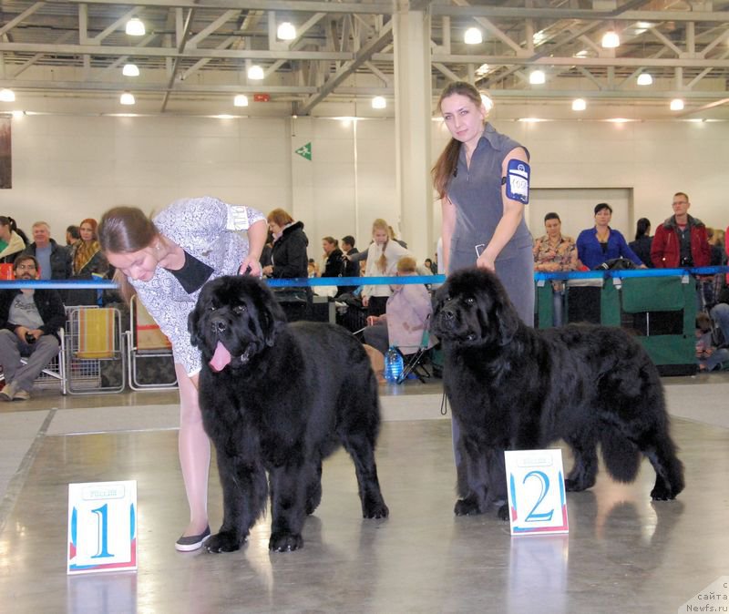 Фотография № 168205