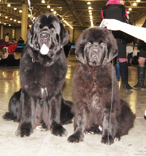 Фотография № 168208